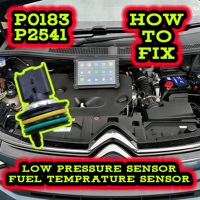 Fix P0183 & P2541 Fuel Temp Sensor Fault: Peugeot/Citroen Guide
