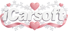 iCarsoft Official Store