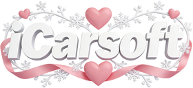 iCarsoft Official Store